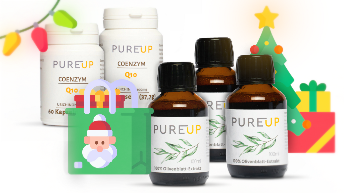 Weihnachts-Special Angebot